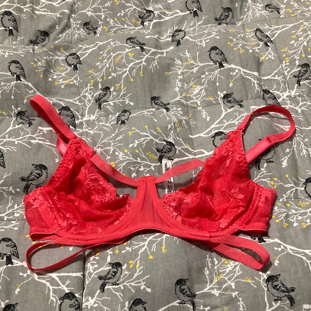 Free people bra